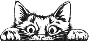 Cat Biting Navigation Bar